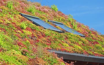 Ferryhill living roof systems